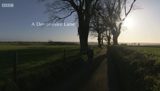 A Devonshire Lane A Devonshire Lane