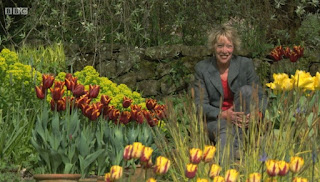 Life in a Cottage Garden with Carol Klein Series 1 Episode 2 Life in a Cottage Garden with Carol Klein Series 1 Episode 2