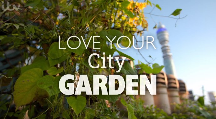 Love Your City Garden