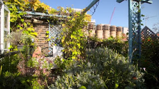 Roof top garden