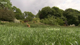 Late June Late June