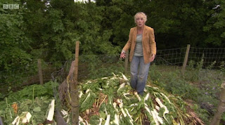 Carol Klein Carol Klein