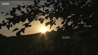 June June