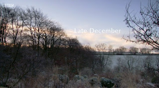Late December Late December