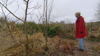 Carol Klein Carol Klein