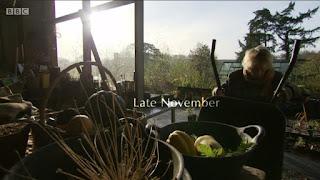 late November late November