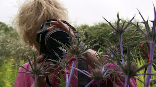Carol Klein Carol Klein