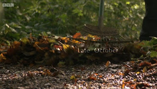 Late October Late October