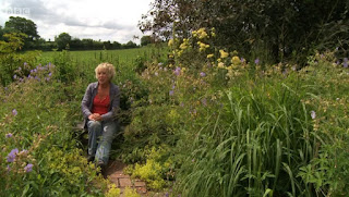 Carol Klein Carol Klein
