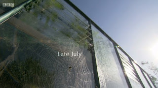 Late July Late July