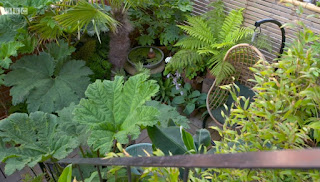 James Lester garden James Lester garden