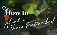 ‘three sisters’ bed ‘three sisters’ bed