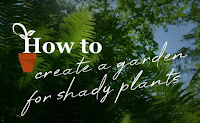 Garden for shade Garden for shade