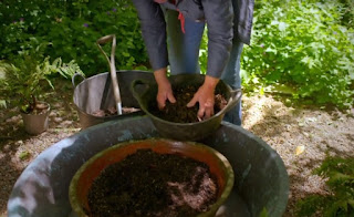 Compost Compost