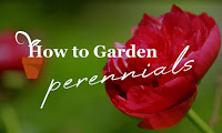 perennials perennials