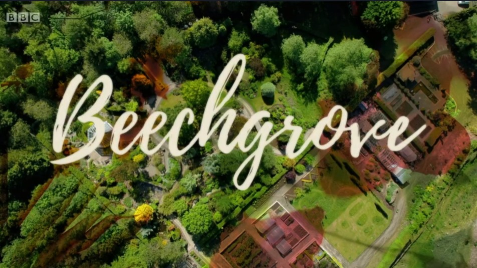 Beechgrove 2021 Beechgrove