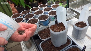 seeds seeds