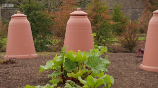 Rhubarb Rhubarb