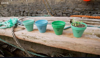 plant pots