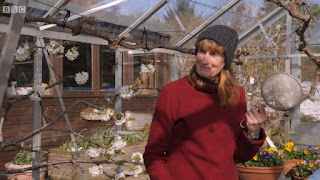 Carole