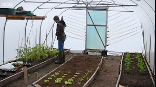 polytunnel