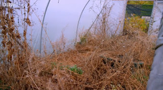 poly tunnel poly tunnel