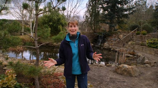 Carole Baxter Carole Baxter