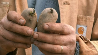 potatoes potatoes