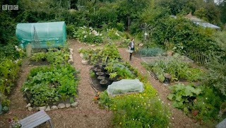 St Ann's Allotments St Ann's Allotments