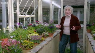 Carol Klein Carol Klein