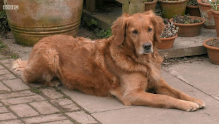 Nell Nell