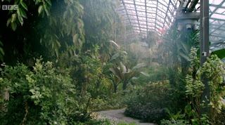 glasshouse glasshouse