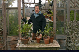 Monty Don Monty Don