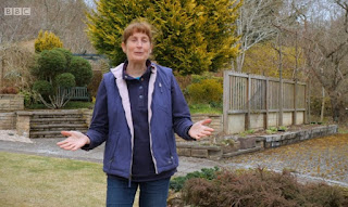 Carole Baxter Carole Baxter