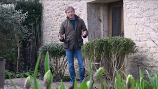 Grand Buxus Grand Buxus
