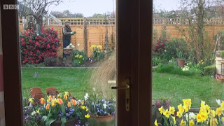 Georges garden Georges garden