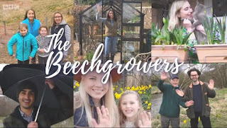 The Beechgrowers The Beechgrowers