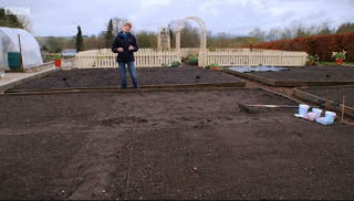 seed bed seed bed
