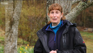 Carole Baxter Carole Baxter