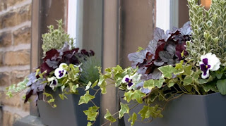 window box window box