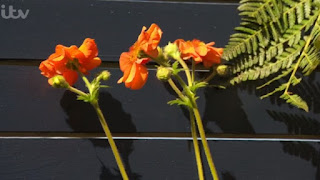 Geum Geum
