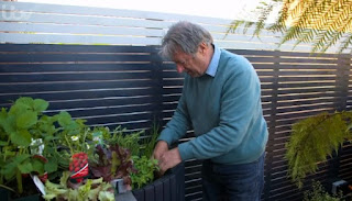 Alan and herbs Alan and herbs