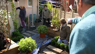placing plants placing plants
