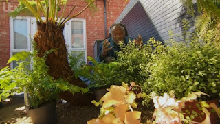 Danny is underplanting Danny is underplanting
