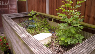 The Garden The Garden