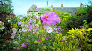 Cottage garden planting Cottage garden planting