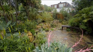 exotic garden exotic garden