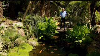 exotic garden exotic garden