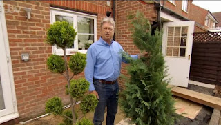 Alan cloud pruning Alan cloud pruning