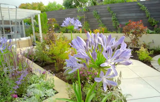 Love Your Garden Series 11 Episode 5 Love Your Garden Series 11 Episode 5
